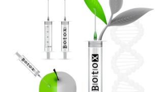 Botox: How We Feel About Ourselves Physically Affects Us Spiritually