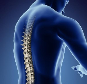 The Latest Facts About Spinal Cord Injury