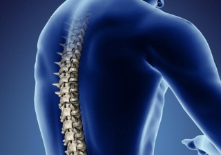 The Latest Facts About Spinal Cord Injury