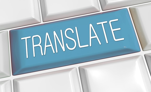 How Language Translation On A Website Improves Customer Care Services?