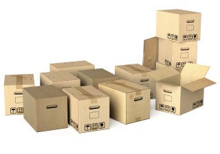 Packaging Cartons