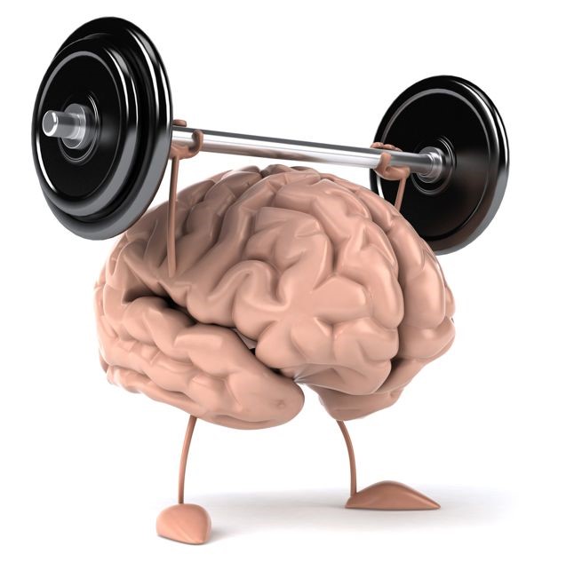 Choline Is An Essential Nutrient That Can Increase Both Muscle Strength and Brain Function