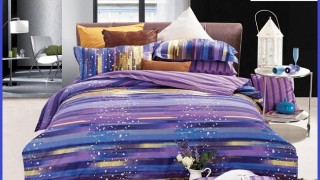 Sleep & Rest Better With The Preeminent Bed For Back