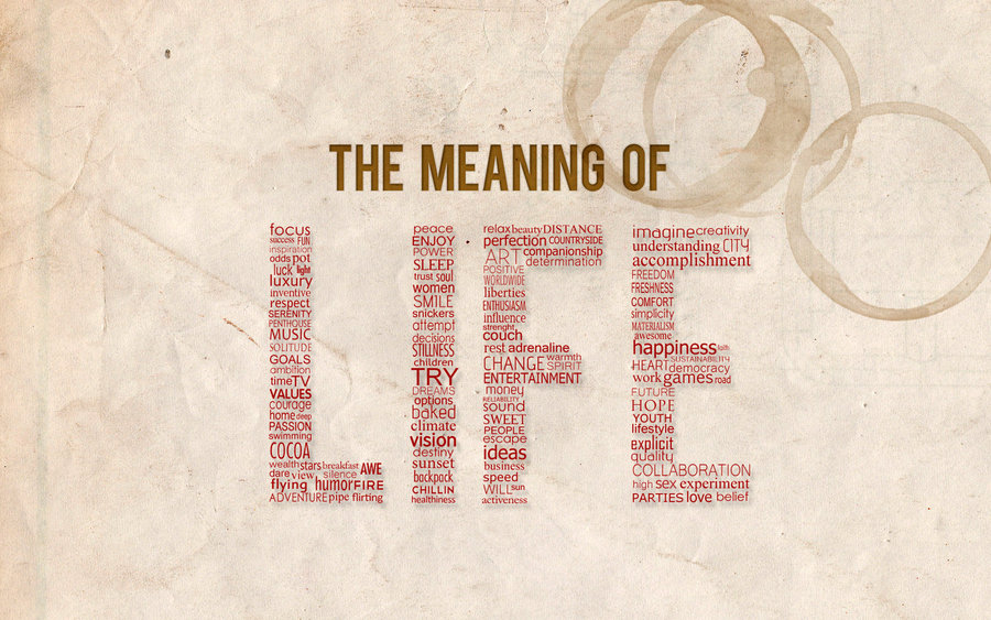 What Is The Meaning Of Life?