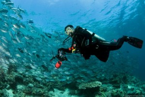 Diving In Sipadan – One Of The Best Diving Destinations In The World