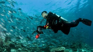 Diving In Sipadan – One Of The Best Diving Destinations In The World