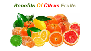 Citrus Fruits