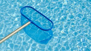 How To Remove Algae From Your Swimming Pool