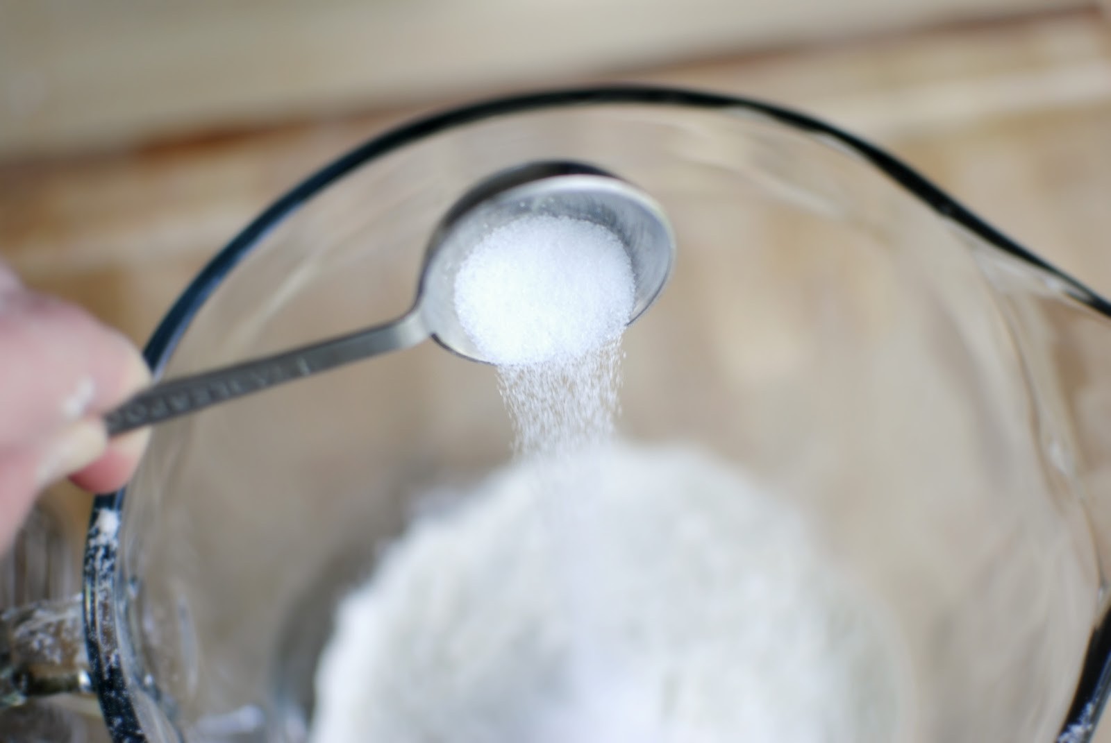 10 Best Home Remedies for Ant Bites