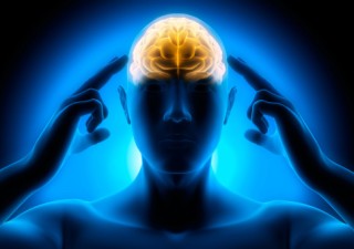 Neuroscience Based Brain-Oriented Training Helps Your Grow