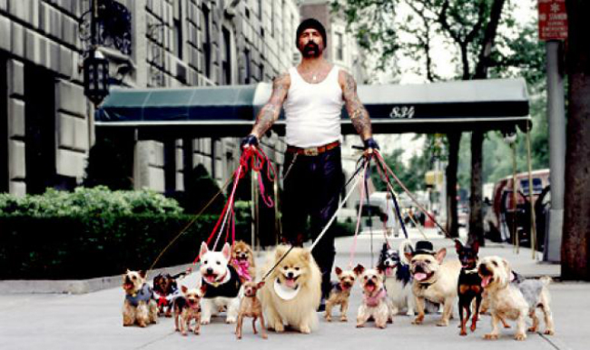 How To Find A Great Dog Walker