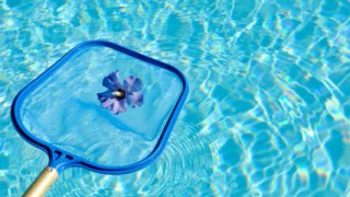 pool cleaning service