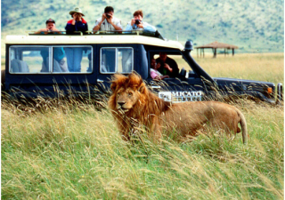 Safari In Tanzania – A Gift For Your Family This Season!
