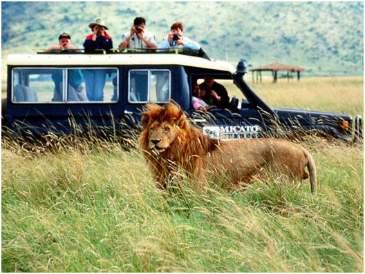 Safari In Tanzania – A Gift For Your Family This Season!