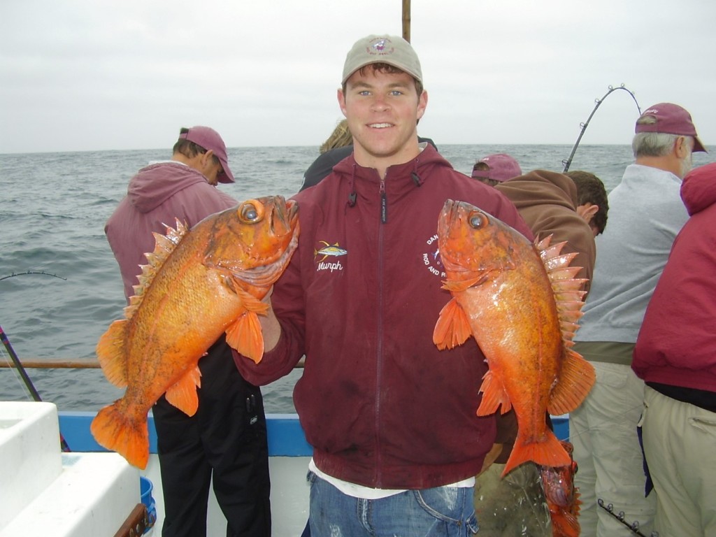 Learn Some Basics About Deep Sea Fishing and Enjoy Hunting The Treasure Of Nature