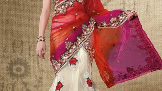 The Fascinating Collection of Sarees Best To Manifest Style