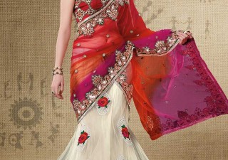 The Fascinating Collection of Sarees Best To Manifest Style