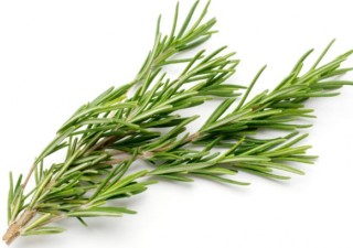 Rosemary Oil: Did You Know It Can Deal With Sexually Transmitted Disease?
