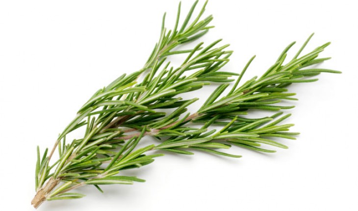 Rosemary Oil: Did You Know It Can Deal With Sexually Transmitted Disease?