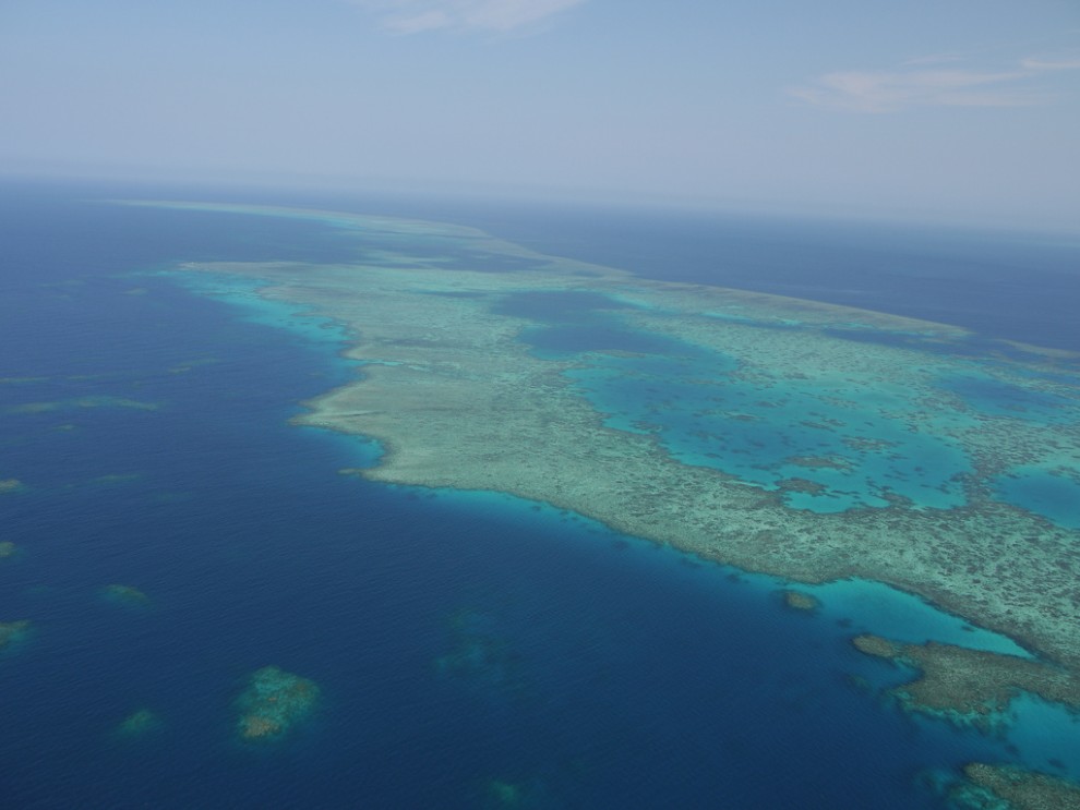 Diving At The Great Barrier Reef
