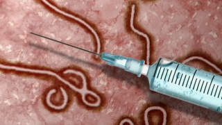 Major Points Everyone Should Know About Ebola