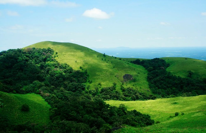 Experience The Allure Of The Greens and The Peaks In Coorg