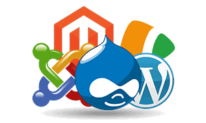 How To Choose The Best CMS Hosting Service Provider?