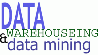 What Is Data Mining and Data Warehouses?