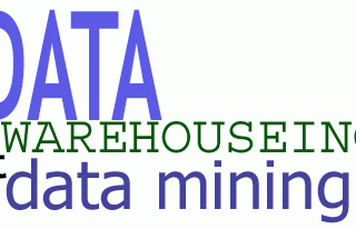 What Is Data Mining and Data Warehouses?
