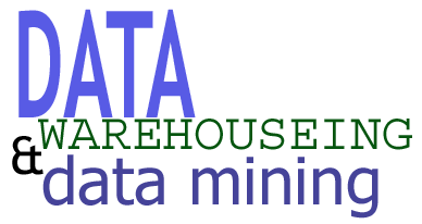 What Is Data Mining and Data Warehouses?