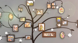 Family-Tree