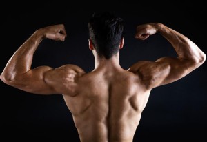 Strength and Muscle Gain In Package For You