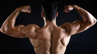 Strength and Muscle Gain In Package For You