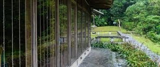 Preventing Birds Hitting Windows With Several Measures