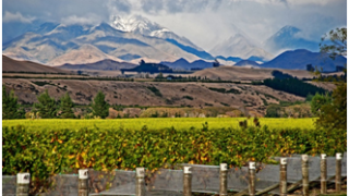 Positive 3 Year Outlook For Agricultural Sector