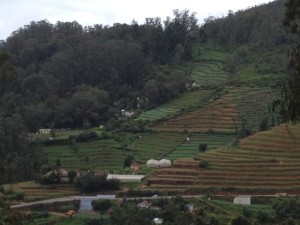 An Encounter With The 5 Best Places To Visit In Ooty