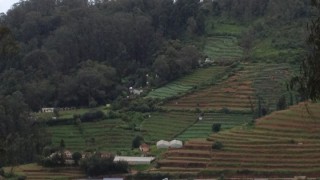 An Encounter With The 5 Best Places To Visit In Ooty