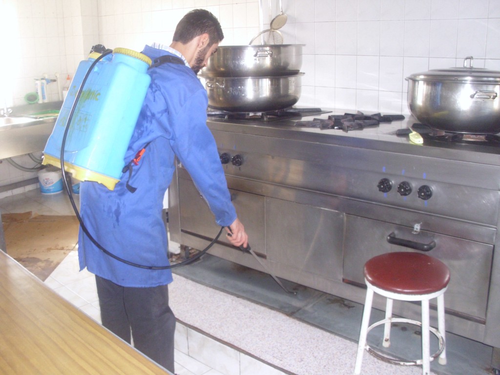 Pest Control in Home