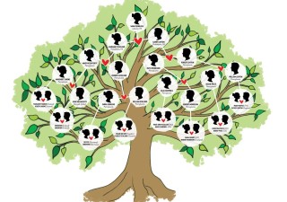 Family-Tree