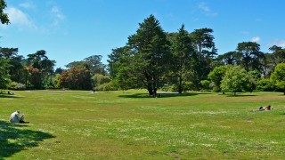 Lawn Development With Sod Installation Why You Need Experts Assistance