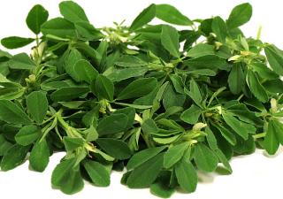 Fenugreek and Its Miracle Benefits Of Increasing The Testosterone Level