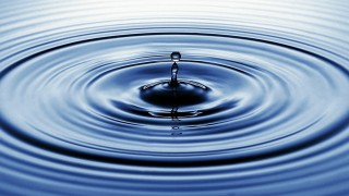 Why Water Is Omnipresent In Our lives?