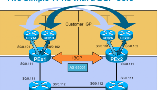 What Is MPLS VPN Technology?