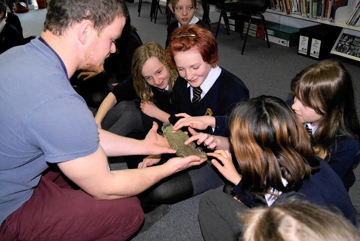 Animal Parties For Kids – What An Experience!