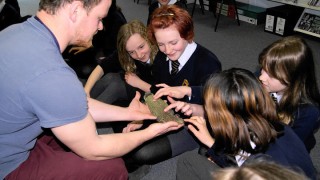 Animal Parties For Kids – What An Experience!