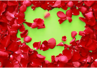 Jaipur flower delivery