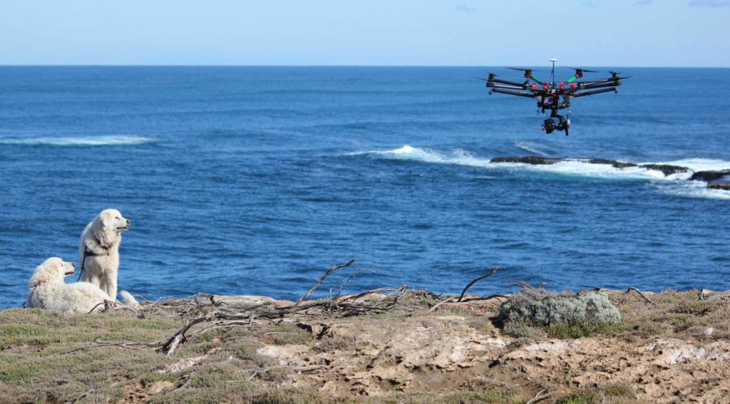 Aerial Photography – An Art Of Interest