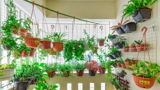 4 Simple Ways You Can Live A Greener Lifestyle Today