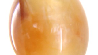 Lehsunia Gemstone For Quick Wealth Get The Power Of 11 Face Rudraksha Bead