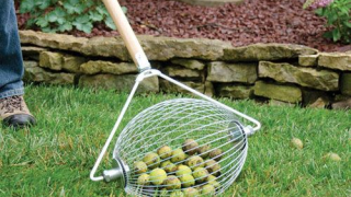 Essential Gardening Tools: The Nut Gatherers and The Broadfork